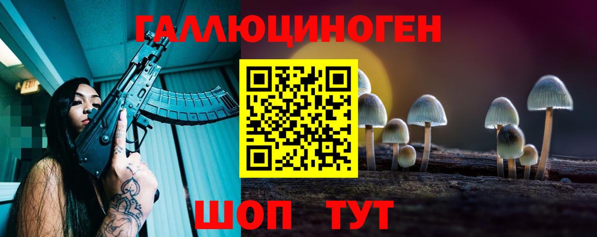 Галлюциногенные грибы мицелий  как найти наркотики  Славгород  Вход с VPN 