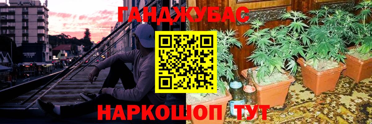 Конопля индика  Каннабис Amnesia  Бошки марихуана индика  Бошки Шишки OG Kush  Славгород  Вход с VPN 